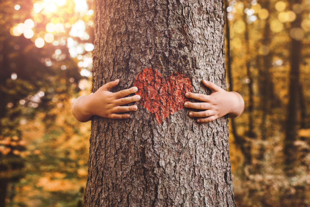 Give-more-love-trees